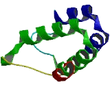 Olfactory Receptor 1S1 (OR1S1)