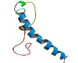 Olfactory Receptor 2A25 (OR2A25)