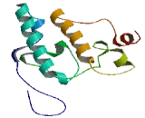 Olfactory Receptor 2A4 (OR2A4)