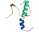 Olfactory Receptor 2A5 (OR2A5)