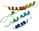 Olfactory Receptor 2A7 (OR2A7)