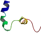 Olfactory Receptor 2B3 (OR2B3)