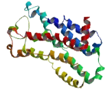 Olfactory Receptor 2B6 (OR2B6)