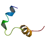 Olfactory Receptor 2L13 (OR2L13)