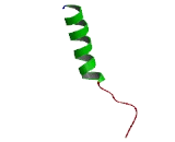 Olfactory Receptor 2M5 (OR2M5)