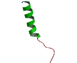 Olfactory Receptor 2M7 (OR2M7)