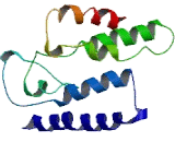 Olfactory Receptor 2T2 (OR2T2)