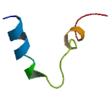 Olfactory Receptor 2T3 (OR2T3)