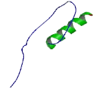 Olfactory Receptor 2T8 (OR2T8)