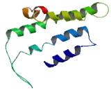 Olfactory Receptor 2Y1 (OR2Y1)