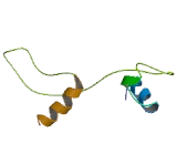 Olfactory Receptor 4A47 (OR4A47)