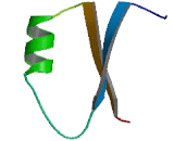 Olfactory Receptor 4C12 (OR4C12)