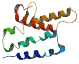 Olfactory Receptor 4C13 (OR4C13)