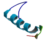 Olfactory Receptor 4C15 (OR4C15)