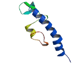 Olfactory Receptor 4C46 (OR4C46)