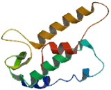 Olfactory Receptor 4C6 (OR4C6)