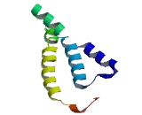 Olfactory Receptor 4D10 (OR4D10)