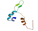 Olfactory Receptor 4D11 (OR4D11)