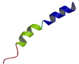 Olfactory Receptor 4F15 (OR4F15)