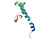 Olfactory Receptor 4L1 (OR4L1)