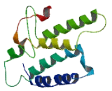 Olfactory Receptor 4M1 (OR4M1)