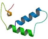 Olfactory Receptor 4N2 (OR4N2)