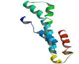 Olfactory Receptor 4N4 (OR4N4)