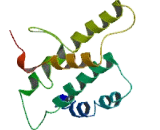 Olfactory Receptor 4X1 (OR4X1)