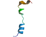 Olfactory Receptor 4X2 (OR4X2)