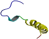 Olfactory Receptor 51A2 (OR51A2)