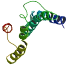 Olfactory Receptor 51A4 (OR51A4)