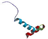 Olfactory Receptor 51B4 (OR51B4)