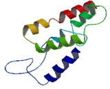 Olfactory Receptor 51B6 (OR51B6)