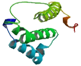 Olfactory Receptor 51G1 (OR51G1)