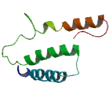 Olfactory Receptor 52A1 (OR52A1)