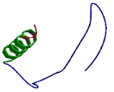 Olfactory Receptor 52A5 (OR52A5)