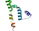 Olfactory Receptor 52B6 (OR52B6)