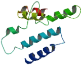 Olfactory Receptor 52E4 (OR52E4)