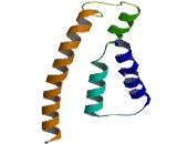 Olfactory Receptor 52E6 (OR52E6)