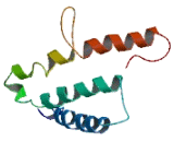 Olfactory Receptor 52H1 (OR52H1)