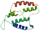 Olfactory Receptor 52L1 (OR52L1)