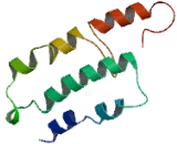 Olfactory Receptor 52N4 (OR52N4)