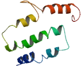 Olfactory Receptor 52N5 (OR52N5)