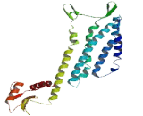 Olfactory Receptor 52Z1 (OR52Z1)