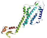 Olfactory Receptor 5AL1 (OR5AL1)