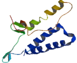 Olfactory Receptor 5AN1 (OR5AN1)