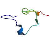 Olfactory Receptor 5B12 (OR5B12)