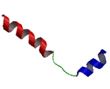 Olfactory Receptor 5H14 (OR5H14)