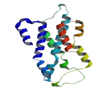 Olfactory Receptor 5H6 (OR5H6)