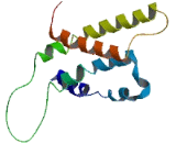 Olfactory Receptor 5K2 (OR5K2)